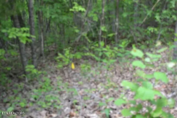 $39,900 | Lot 6 Forest Trails Lane, Celina, TN 38551