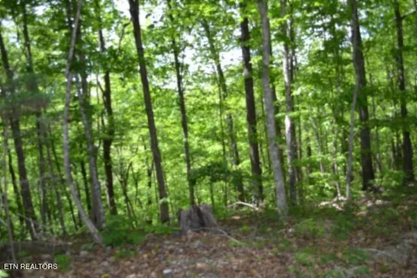 $39,900 | Lot 6 Forest Trails Lane, Celina, TN 38551