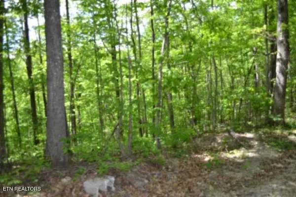 $39,900 | Lot 6 Forest Trails Lane, Celina, TN 38551