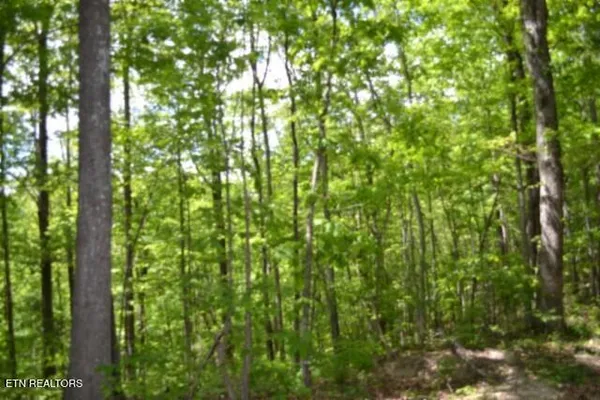 $39,900 | Lot 6 Forest Trails Lane, Celina, TN 38551