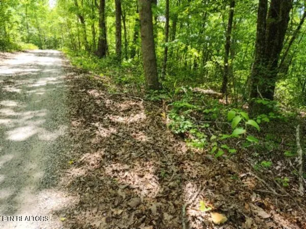 $39,900 | Lot 6 Forest Trails Lane, Celina, TN 38551