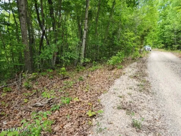 $39,900 | Lot 6 Forest Trails Lane, Celina, TN 38551