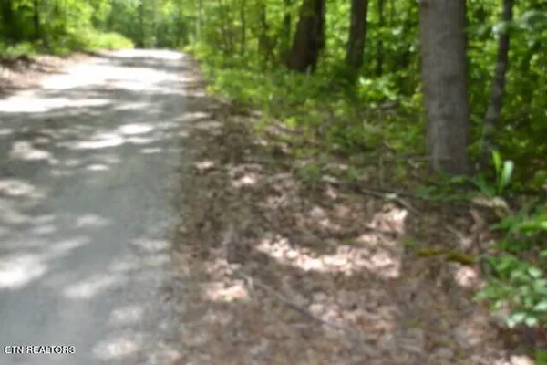 $39,900 | Lot 6 Forest Trails Lane, Celina, TN 38551