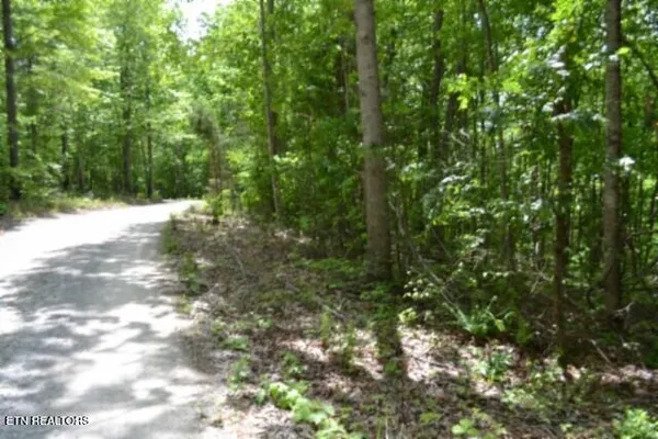 $39,900 | Lot 6 Forest Trails Lane, Celina, TN 38551