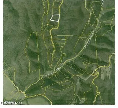 $39,900 | Lot 6 Forest Trails Lane, Celina, TN 38551