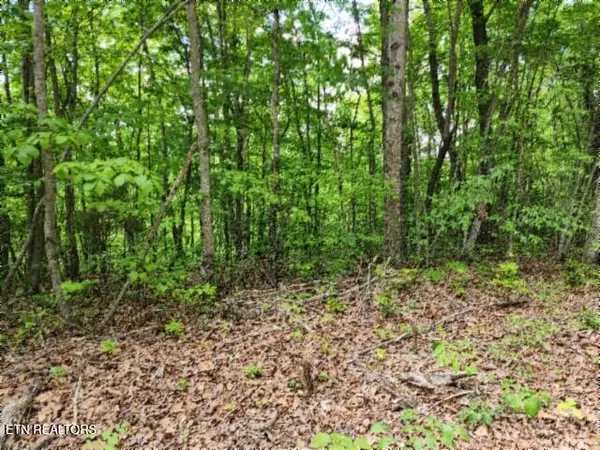 $39,900 | Lot 6 Forest Trails Lane, Celina, TN 38551