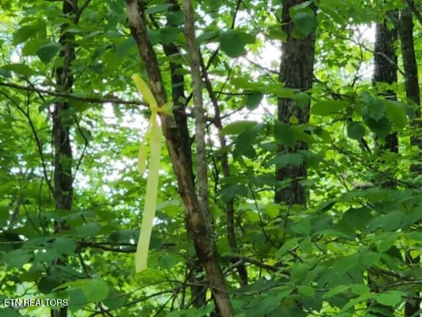 $39,900 | Lot 6 Forest Trails Lane, Celina, TN 38551