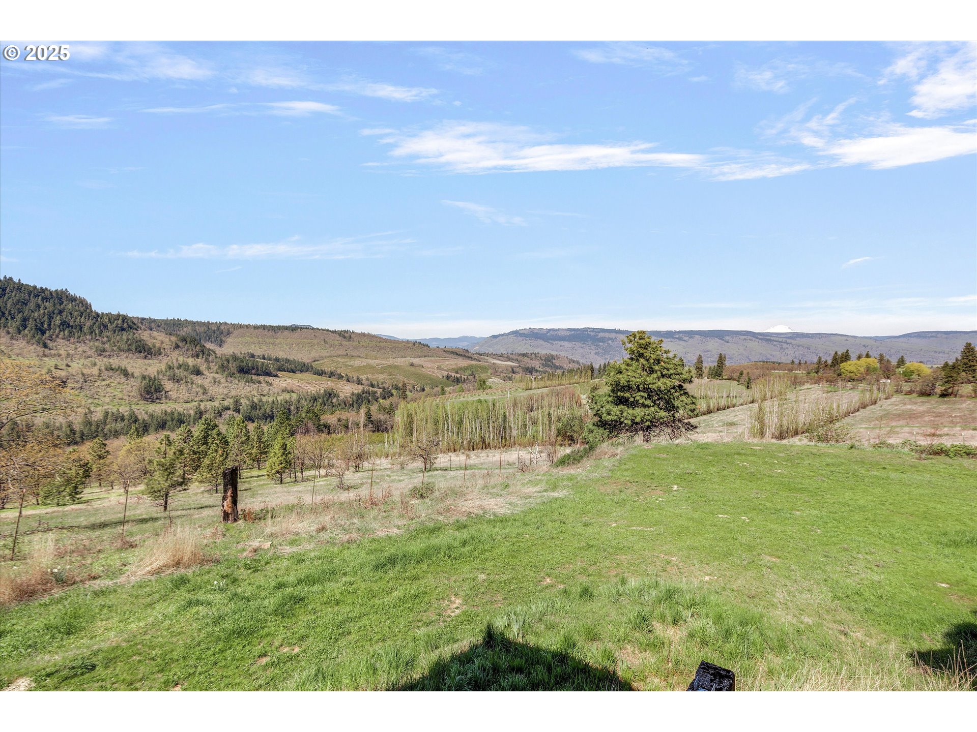 1805 Carroll Road Mosier, OR 97040 - Photo 29 of 45 a view of an outdoor space and mountain view
