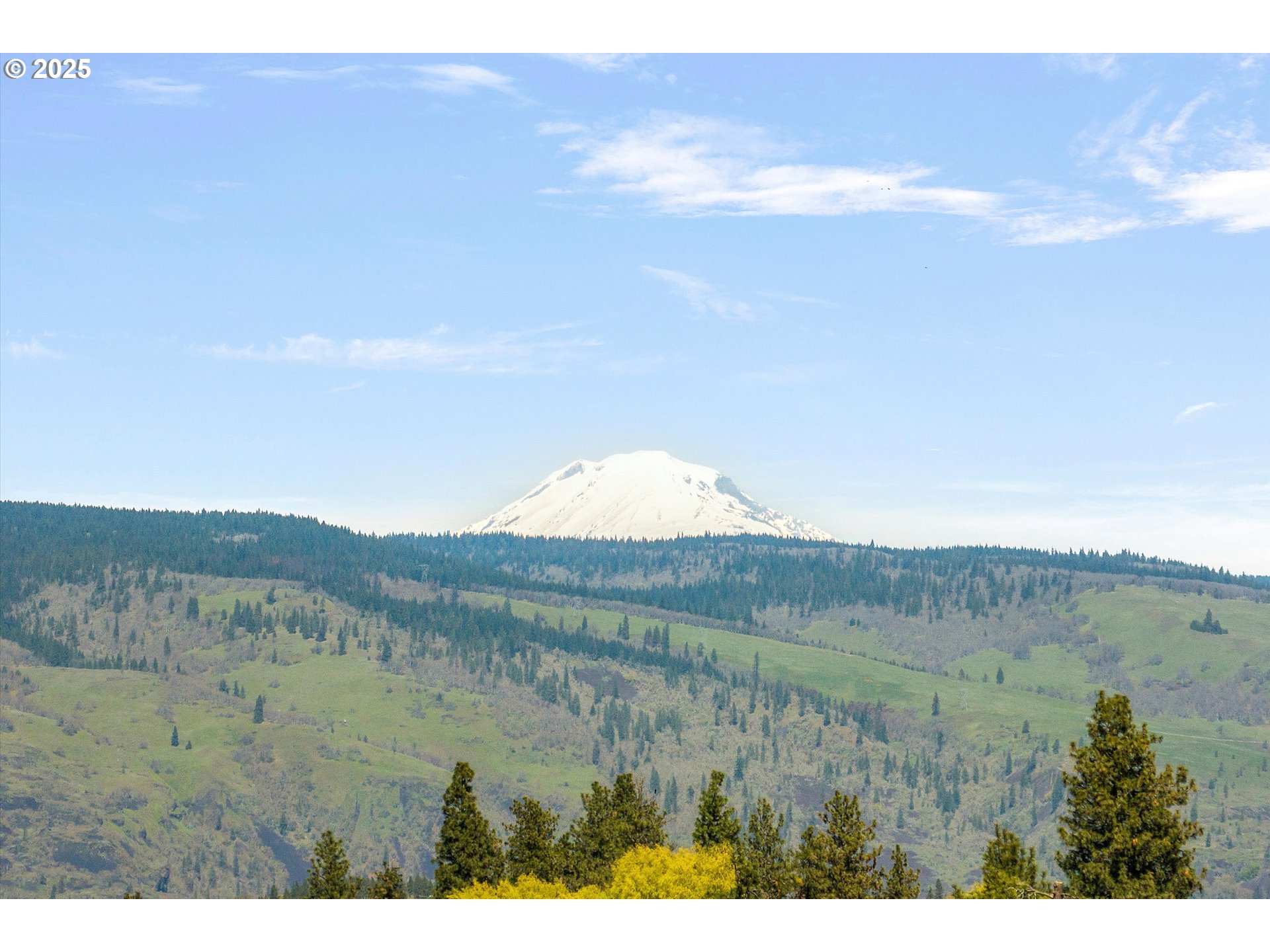 1805 Carroll Road Mosier, OR 97040 - Photo 33 of 45 a view of lake with mountain