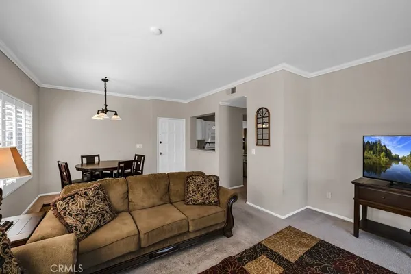 a view of a livingroom with furniture window and wooden floor