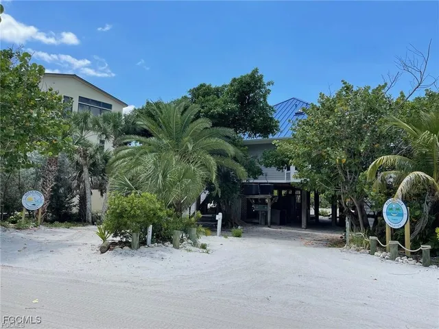a couple of potted plants in front of house