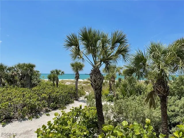 a view of a palm trees in front of a house