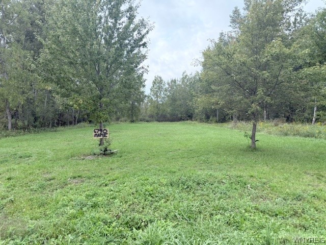 6790 Maple Road Newstead, NY 14001 - Photo 1 of 17 From the Street