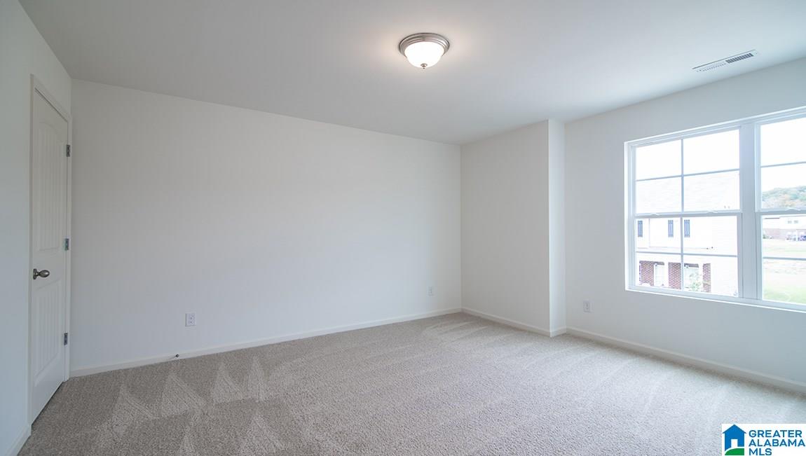 1009 Flyway View Lane Alabaster, AL 35007 - Photo 12 of 16