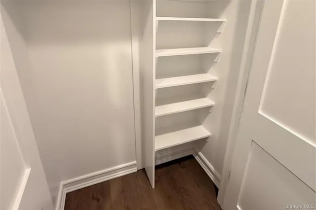 a view of an empty walk in closet