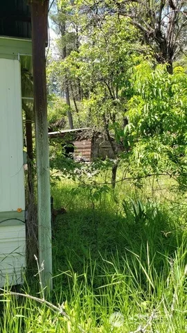 a backyard of a house with lots of green space and fountain