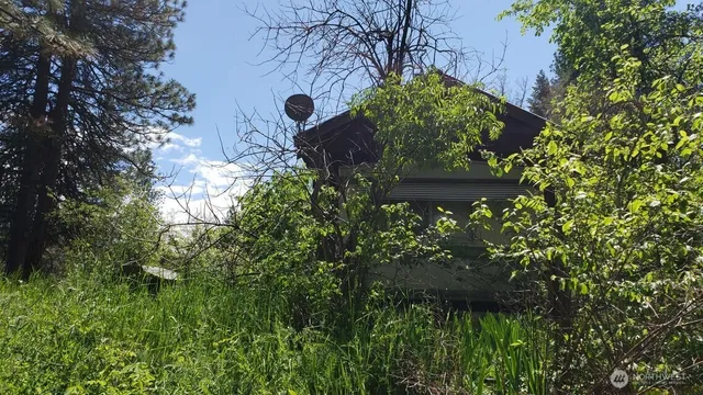 a view of a backyard