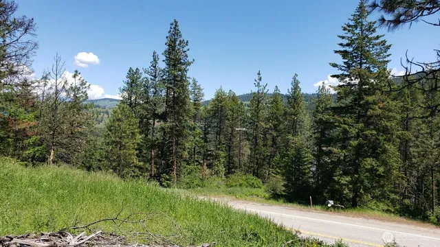 a backyard of a house with lots of green space and trees all around