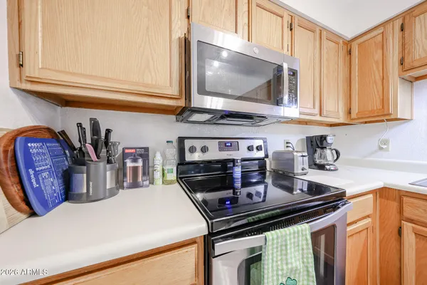 a view of a park with a tree