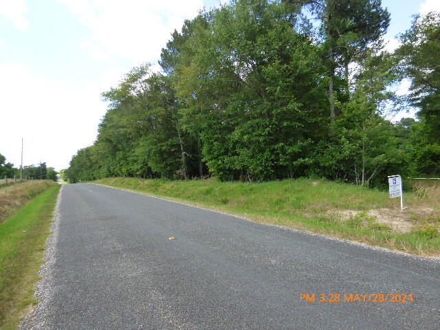 0 Padgett Pond Road Monetta, SC 29105 - Photo 1 of 7