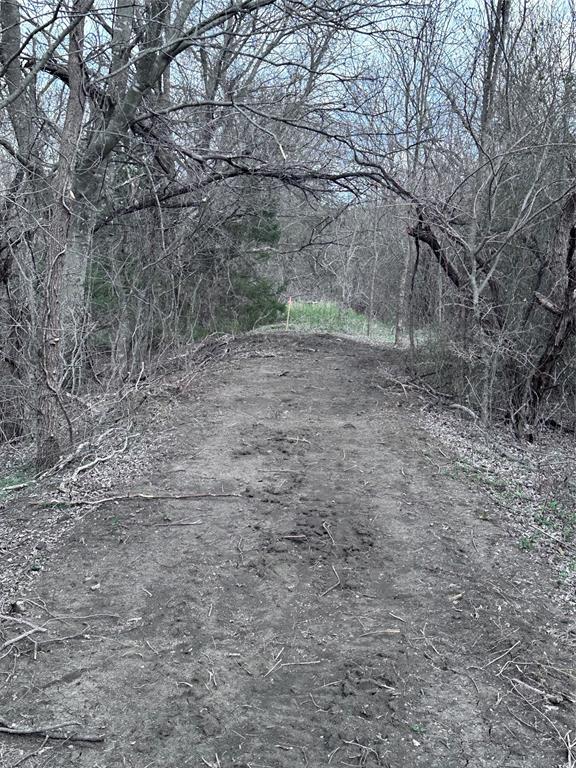 0 Sandswitch Road Ennis, TX 75119 - Photo 13 of 33