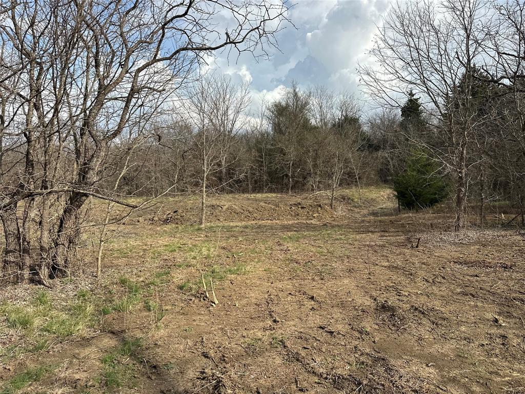 0 Sandswitch Road Ennis, TX 75119 - Photo 14 of 33