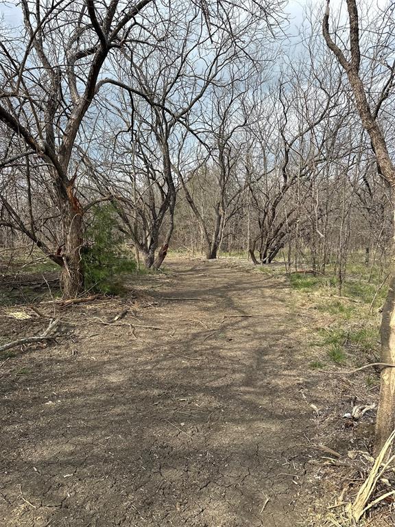 0 Sandswitch Road Ennis, TX 75119 - Photo 16 of 33