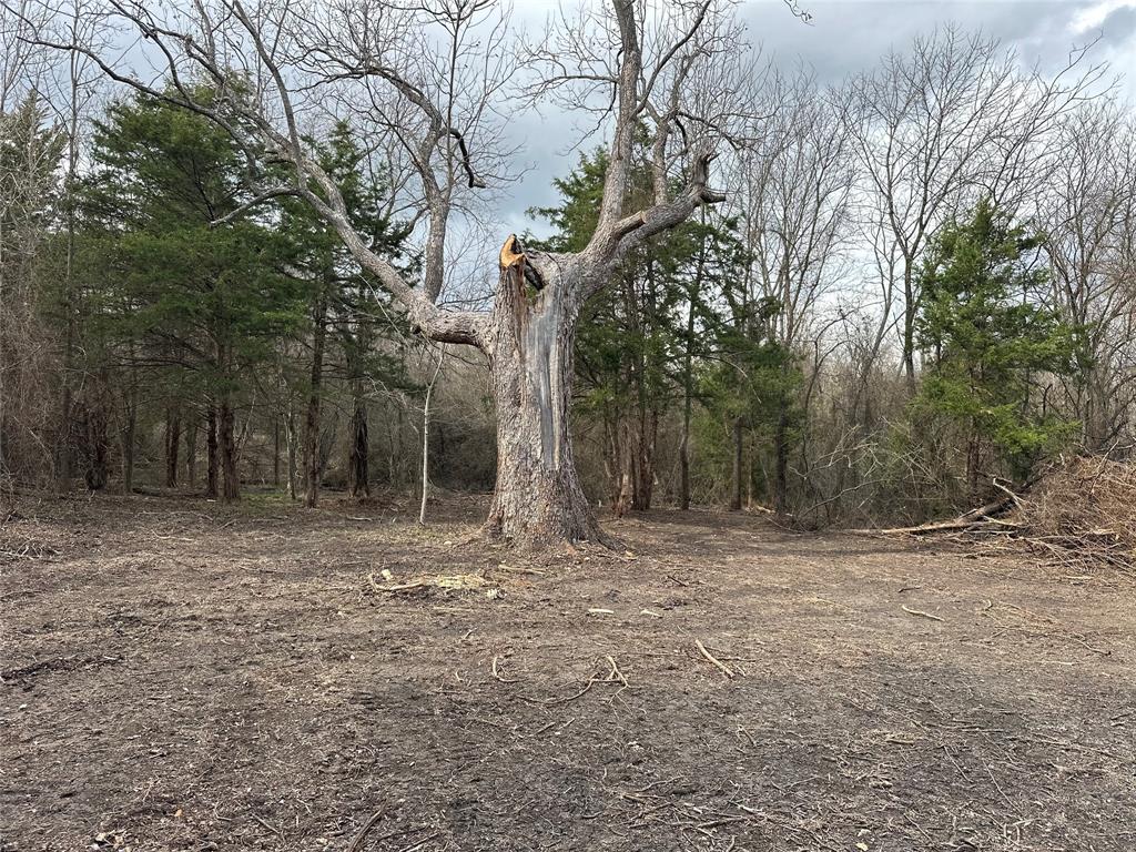 0 Sandswitch Road Ennis, TX 75119 - Photo 19 of 33