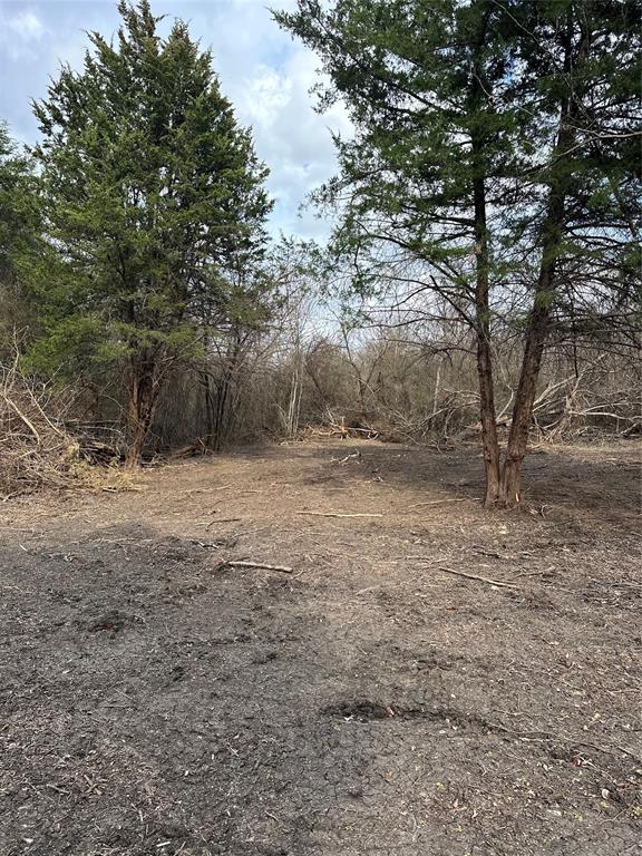 0 Sandswitch Road Ennis, TX 75119 - Photo 20 of 33