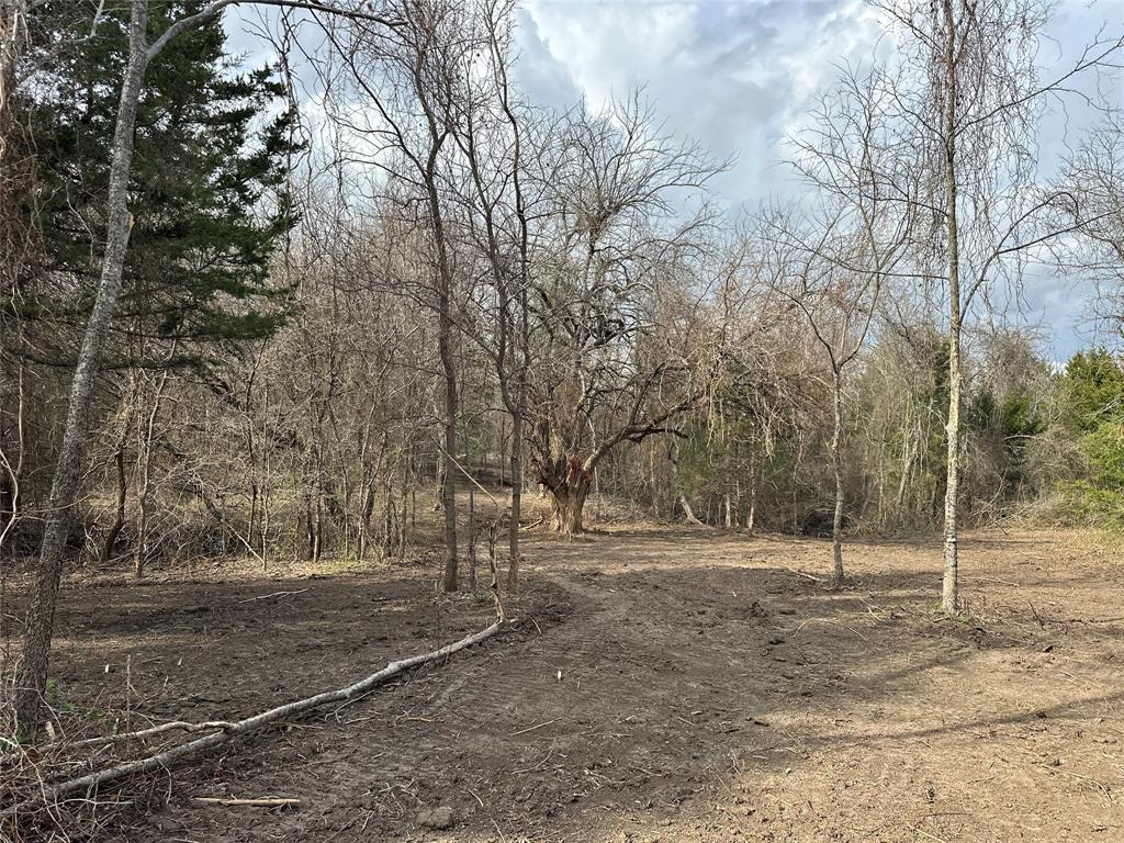 0 Sandswitch Road Ennis, TX 75119 - Photo 2 of 33