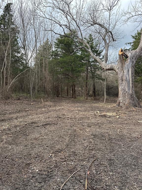 0 Sandswitch Road Ennis, TX 75119 - Photo 21 of 33