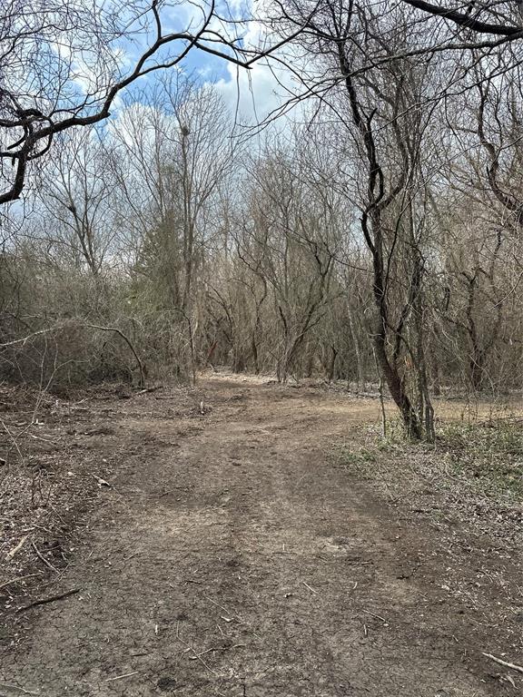 0 Sandswitch Road Ennis, TX 75119 - Photo 23 of 33