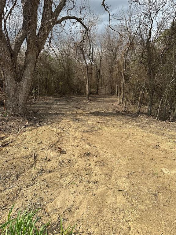 0 Sandswitch Road Ennis, TX 75119 - Photo 24 of 33