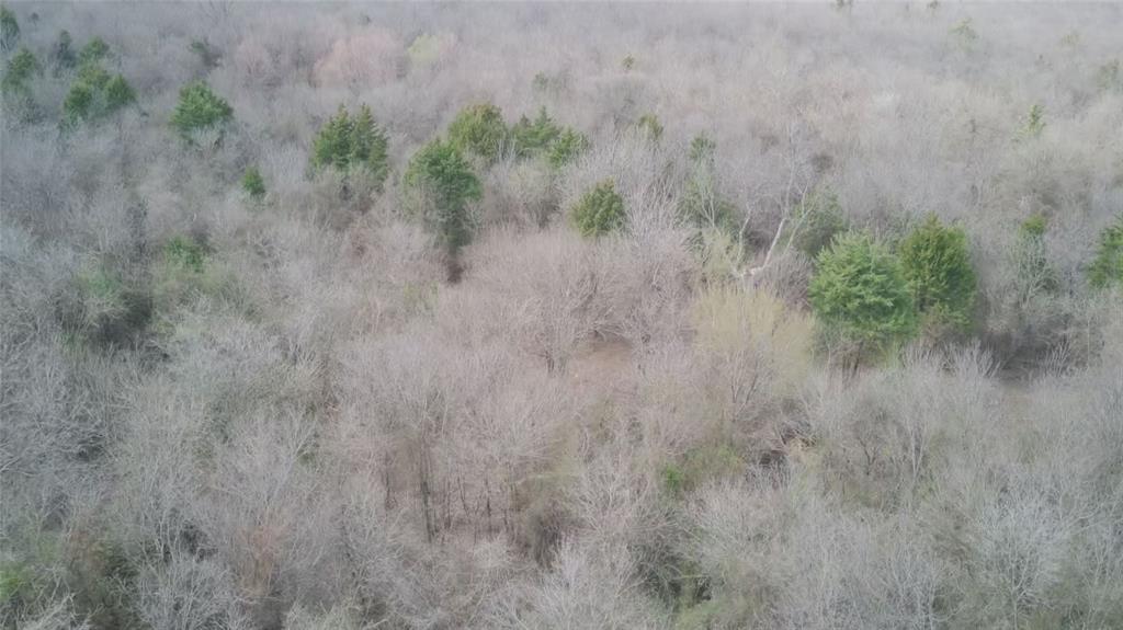 0 Sandswitch Road Ennis, TX 75119 - Photo 28 of 33