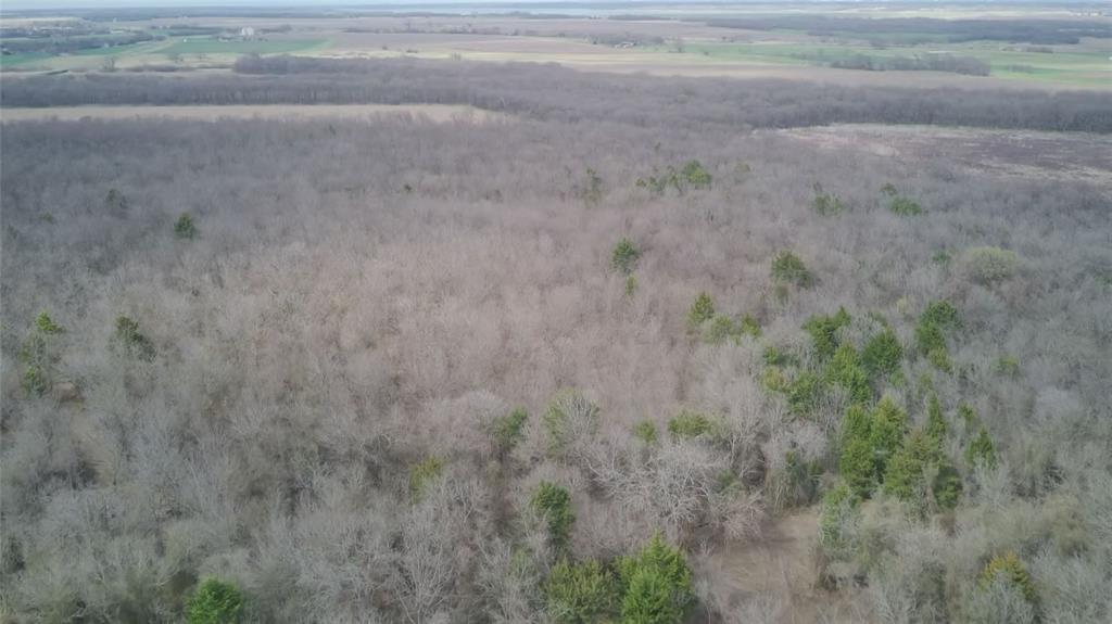 0 Sandswitch Road Ennis, TX 75119 - Photo 29 of 33