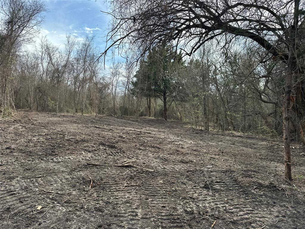 0 Sandswitch Road Ennis, TX 75119 - Photo 3 of 33