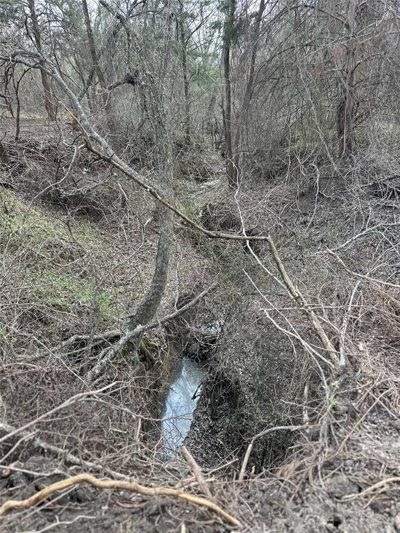 0 Sandswitch Road Ennis, TX 75119 - Photo 4 of 33