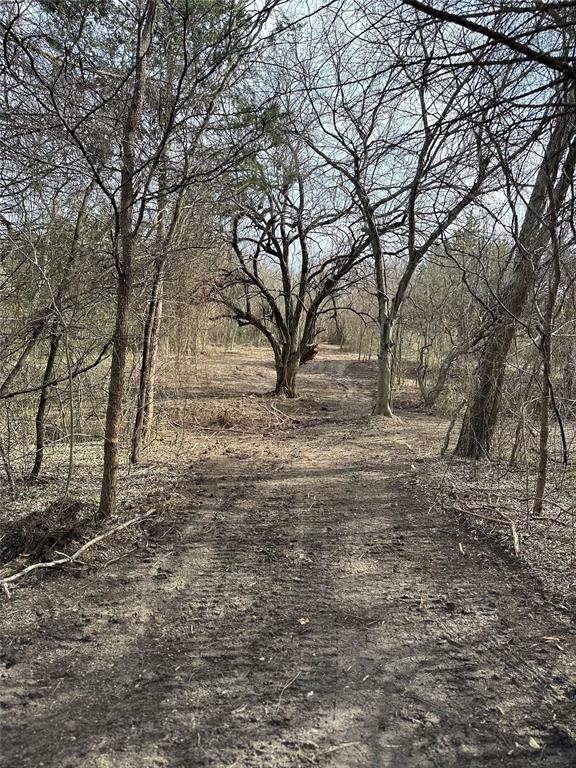 0 Sandswitch Road Ennis, TX 75119 - Photo 5 of 33