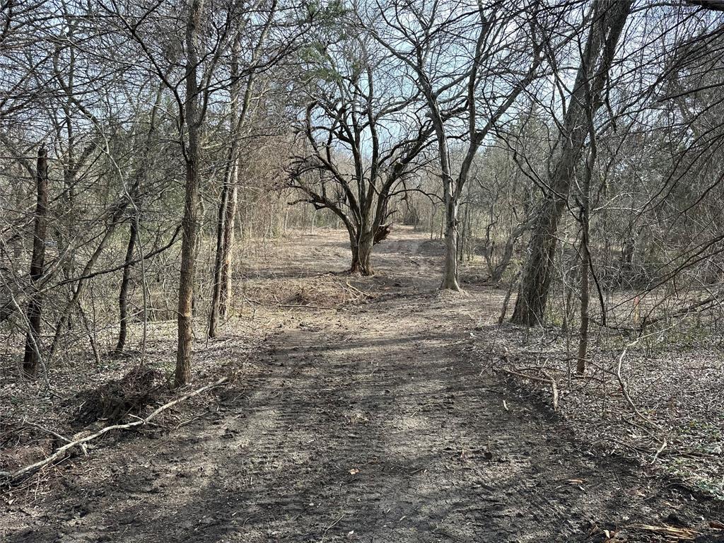 0 Sandswitch Road Ennis, TX 75119 - Photo 6 of 33