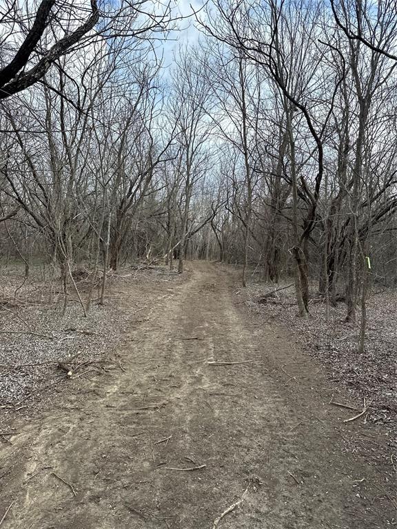 0 Sandswitch Road Ennis, TX 75119 - Photo 8 of 33