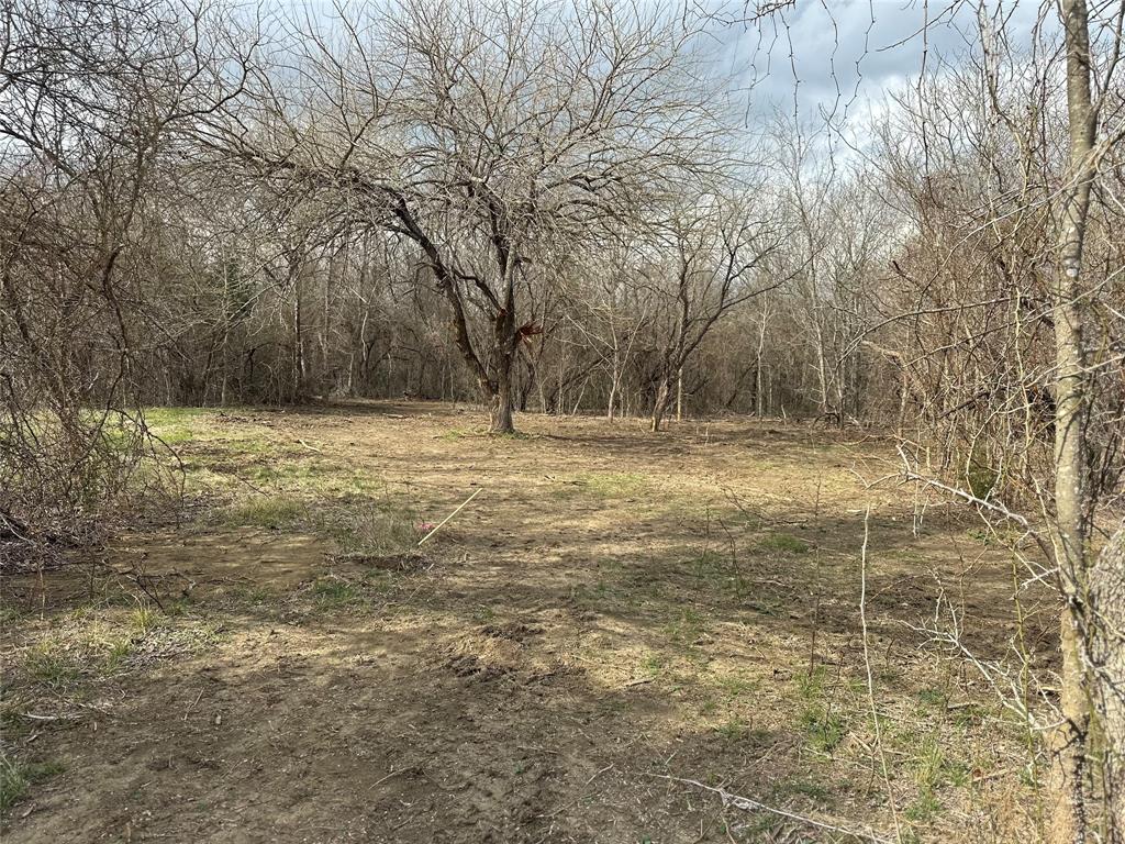 0 Sandswitch Road Ennis, TX 75119 - Photo 9 of 33