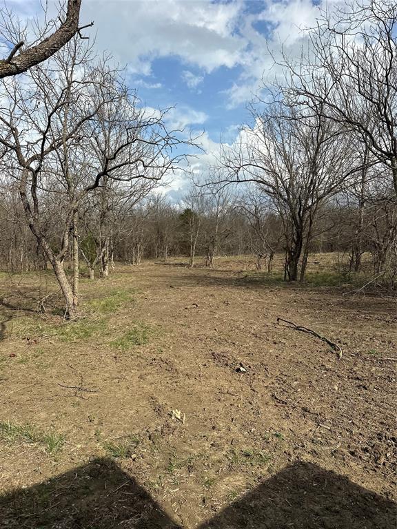 0 Sandswitch Road Ennis, TX 75119 - Photo 10 of 33