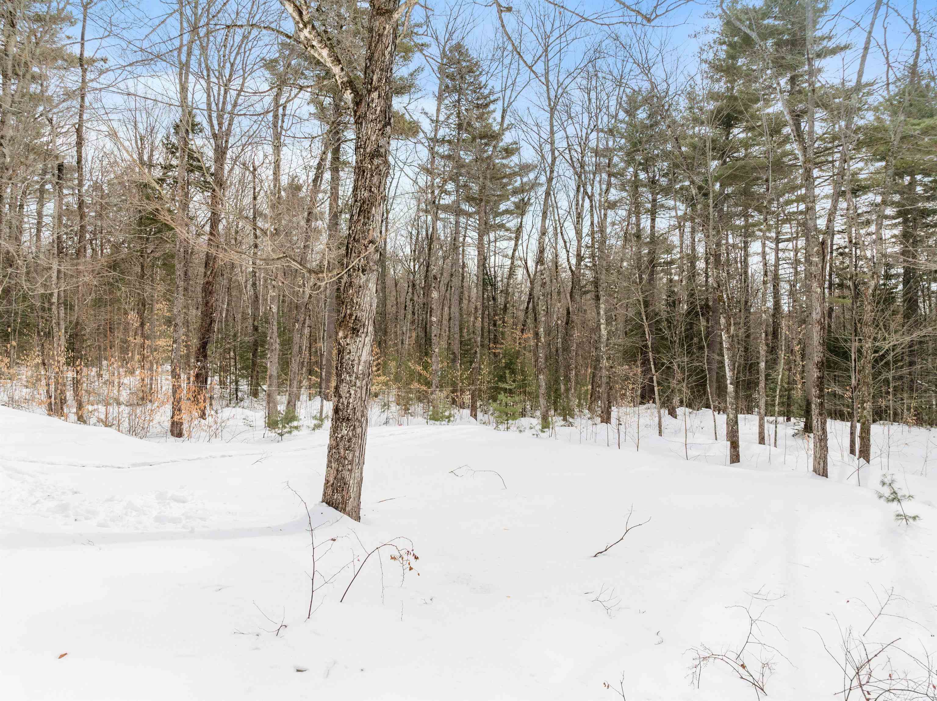 487 Chase Road Sandwich, NH 03259 - Photo 8 of 44