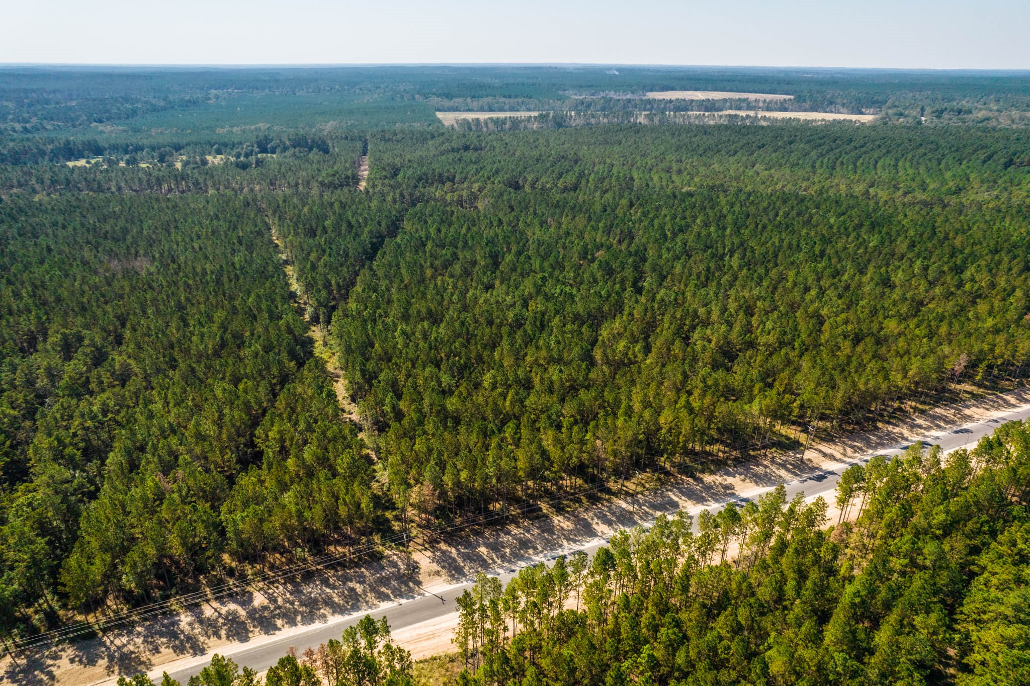 0 Queen Anne Huntsville, TX 77340 - Photo 5 of 12 a view of a lush green forest with trees in the background