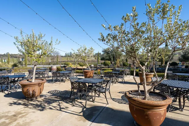 $4,500,000 | 19900 Shenandoah School Road, Plymouth, CA 95669