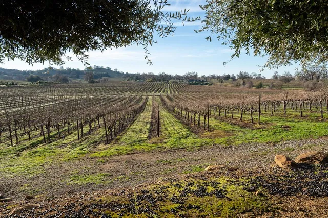 $4,500,000 | 19900 Shenandoah School Road, Plymouth, CA 95669