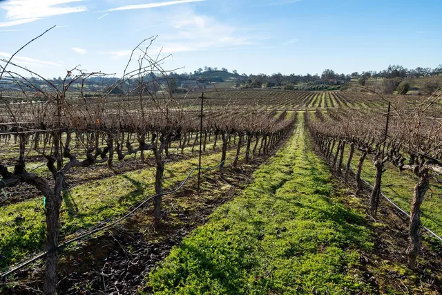 $4,500,000 | 19900 Shenandoah School Road, Plymouth, CA 95669