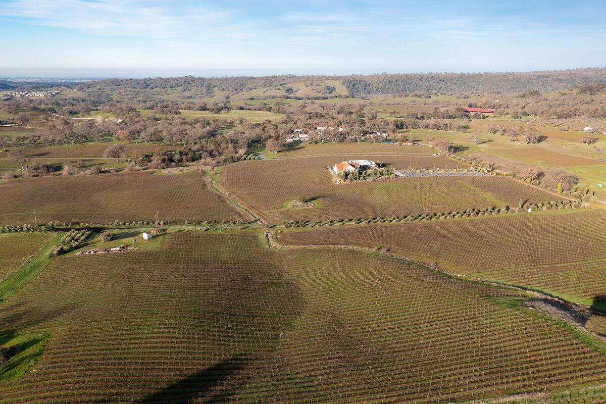 19900 Shenandoah School Road Plymouth, CA 95669 - Photo 51 of 51