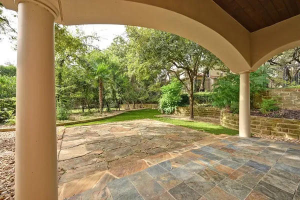 a view of a yard with plants and trees