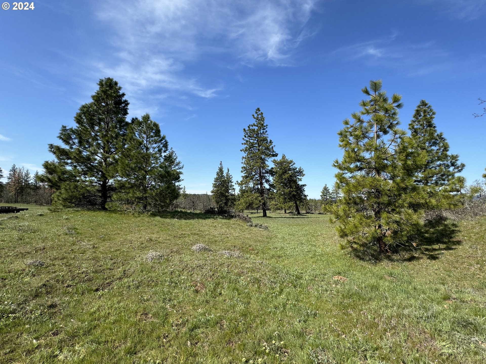 Chisholm Goldendale, WA 98620 - Photo 1 of 25 Gallery Image 1